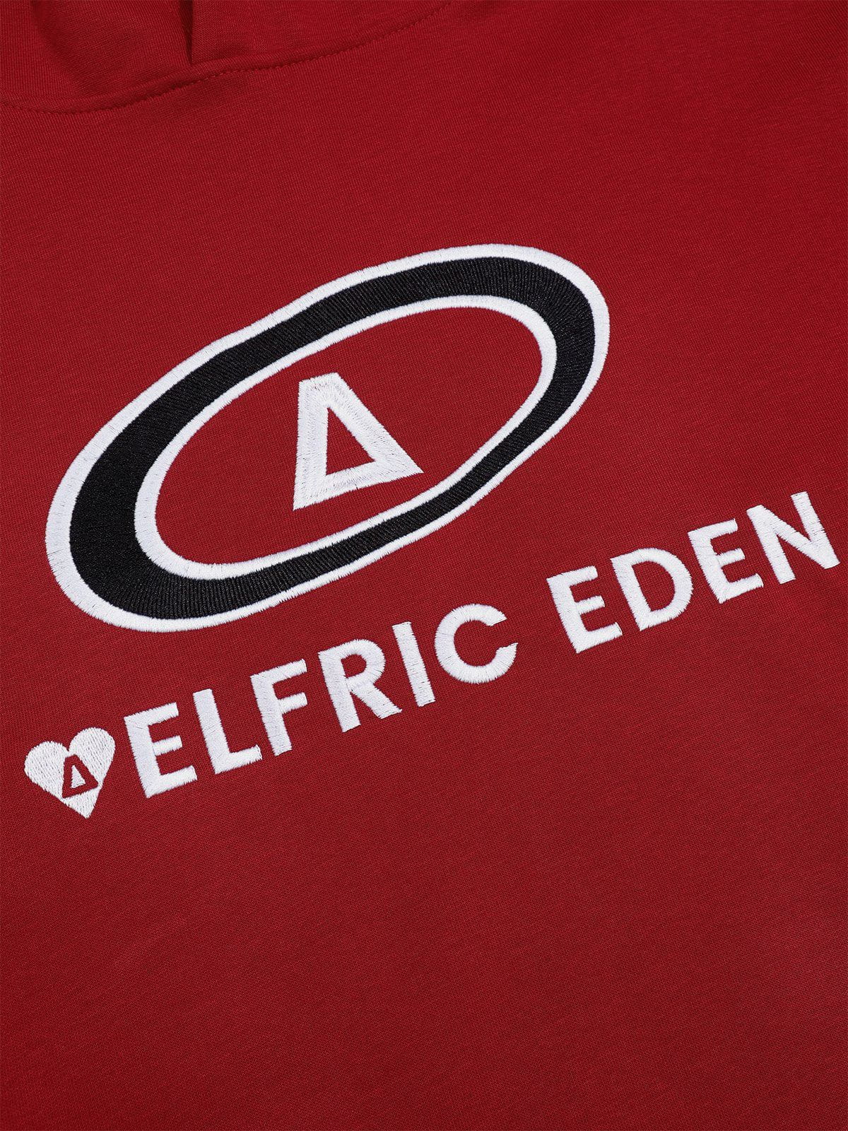 Color Block Hoodie with Embroidery Details | Aelfric Eden